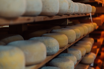 Image showing A large storehouse of manufactured cheese standing on the shelves ready to be transported to markets