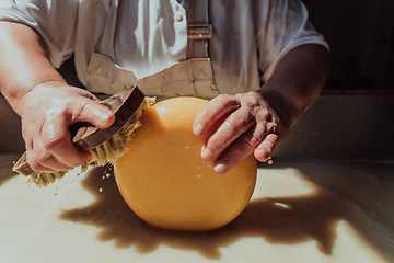 Image showing A woman in the cheese industry. Woman preparing cheese for further processing process in the modern cheese industry