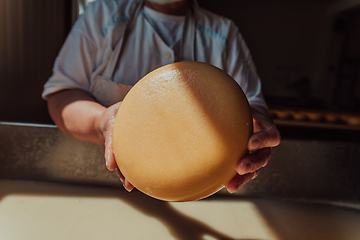 Image showing A woman in the cheese industry. Woman preparing cheese for further processing process in the modern cheese industry