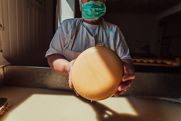 Image showing A woman in the cheese industry. Woman preparing cheese for further processing process in the modern cheese industry