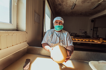 Image showing A woman in the cheese industry. Woman preparing cheese for further processing process in the modern cheese industry