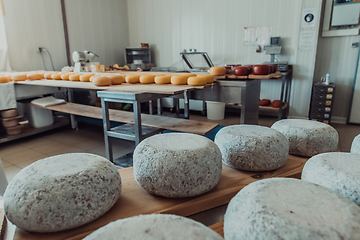 Image showing A large storehouse of manufactured cheese standing on the shelves ready to be transported to markets