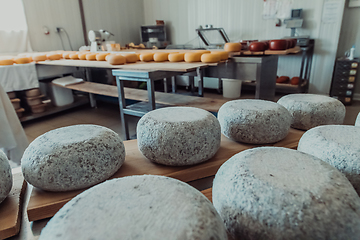 Image showing A large storehouse of manufactured cheese standing on the shelves ready to be transported to markets