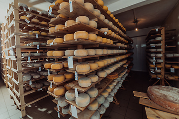 Image showing A large storehouse of manufactured cheese standing on the shelves ready to be transported to markets