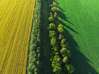 Image showing aerial of flying over a beautiful green meadow