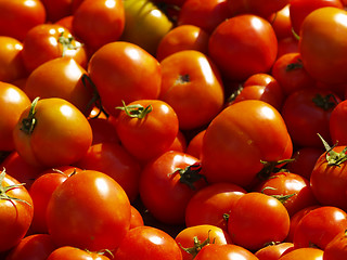 Image showing fresh tomatoes