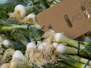 Image showing leek