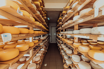 Image showing A large storehouse of manufactured cheese standing on the shelves ready to be transported to markets