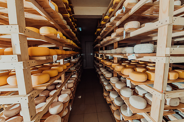 Image showing A large storehouse of manufactured cheese standing on the shelves ready to be transported to markets