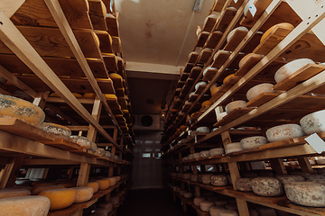 Image showing A large storehouse of manufactured cheese standing on the shelves ready to be transported to markets