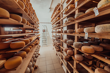 Image showing A large storehouse of manufactured cheese standing on the shelves ready to be transported to markets