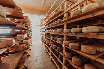 Image showing A large storehouse of manufactured cheese standing on the shelves ready to be transported to markets