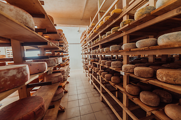 Image showing A large storehouse of manufactured cheese standing on the shelves ready to be transported to markets