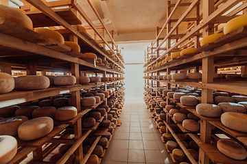 Image showing A large storehouse of manufactured cheese standing on the shelves ready to be transported to markets