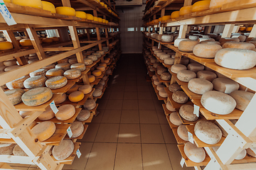 Image showing A large storehouse of manufactured cheese standing on the shelves ready to be transported to markets