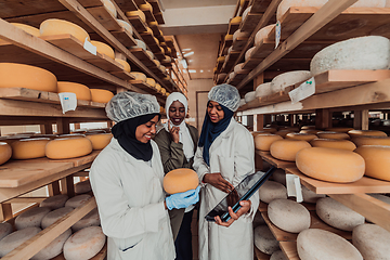 Image showing Arab business partners checking the quality of cheese in the industry and enter data into a laptop. Small business concept