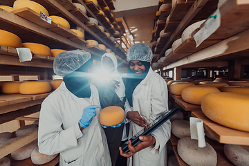 Image showing Arab business partners checking the quality of cheese in the industry and enter data into a laptop. Small business concept