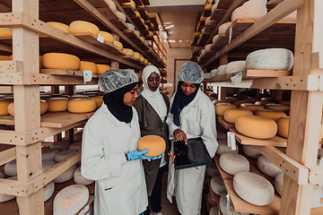 Image showing Arab business partners checking the quality of cheese in the industry and enter data into a laptop. Small business concept