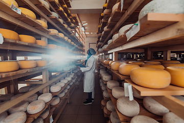 Image showing African American Muslim businesswoman checking product quality and entering data into a laptop at a local cheese manufacturing company