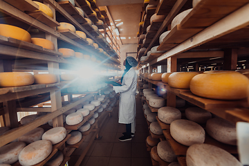 Image showing African American Muslim businesswoman checking product quality and entering data into a laptop at a local cheese manufacturing company