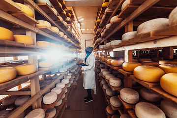 Image showing African American Muslim businesswoman checking product quality and entering data into a laptop at a local cheese manufacturing company