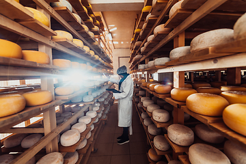 Image showing African American Muslim businesswoman checking product quality and entering data into a laptop at a local cheese manufacturing company