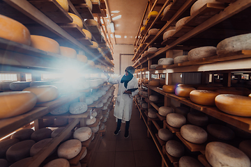 Image showing African American Muslim businesswoman checking product quality and entering data into a laptop at a local cheese manufacturing company