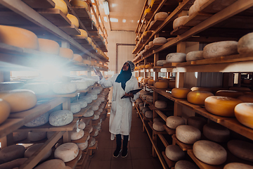 Image showing African American Muslim businesswoman checking product quality and entering data into a laptop at a local cheese manufacturing company