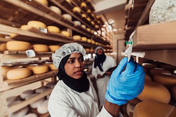 Image showing Arab business partners checking the quality of cheese in the industry and enter data into a laptop. Small business concept