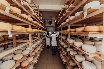 Image showing Arab business partner visiting a cheese factory. The concept of investing in small businesses