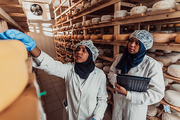 Image showing Arab business partners checking the quality of cheese in the industry and enter data into a laptop. Small business concept