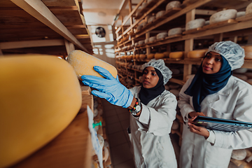 Image showing Arab business partners checking the quality of cheese in the industry and enter data into a laptop. Small business concept