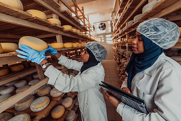 Image showing Arab business partners checking the quality of cheese in the industry and enter data into a laptop. Small business concept