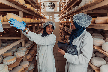 Image showing Arab business partners checking the quality of cheese in the industry and enter data into a laptop. Small business concept