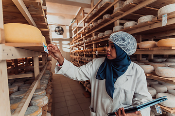 Image showing African American Muslim businesswoman checking product quality and entering data into a laptop at a local cheese manufacturing company