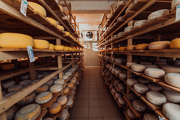 Image showing A large storehouse of manufactured cheese standing on the shelves ready to be transported to markets