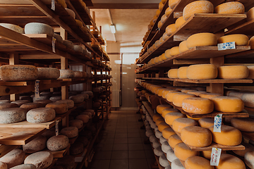 Image showing A large storehouse of manufactured cheese standing on the shelves ready to be transported to markets