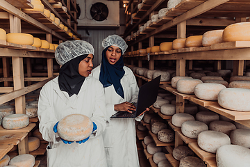 Image showing Business of a Muslim partners in a cheese warehouse, checking the quality of cheese and entering data into laptop