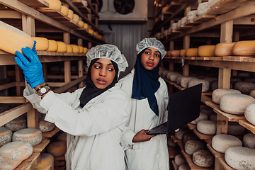 Image showing Business of a Muslim partners in a cheese warehouse, checking the quality of cheese and entering data into laptop