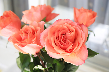 Image showing Beautiful bouquet of delicate roses