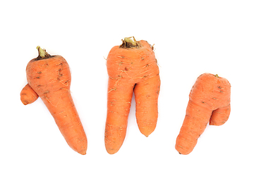 Image showing Forked and Twisted Carrot Vegetables