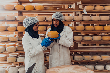 Image showing Muslim business partners checking the quality of cheese in the modern industry