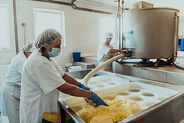 Image showing Workers in the modern industry for the processing of dairy products and the production of various types of cheese perform various operations manually and on machines