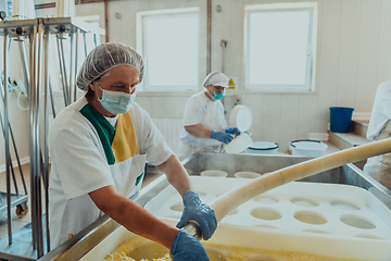 Image showing Workers in the modern industry for the processing of dairy products and the production of various types of cheese perform various operations manually and on machines