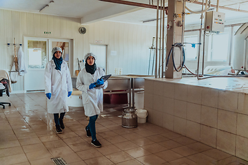 Image showing Arab business partner visiting a cheese factory. The concept of investing in small businesses