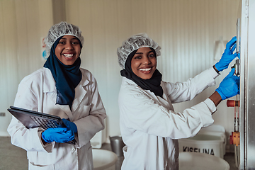 Image showing Arab business partners checking the quality of cheese in the industry and enter data into a laptop. Small business concept