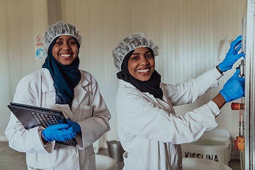 Image showing Arab business partners checking the quality of cheese in the industry and enter data into a laptop. Small business concept