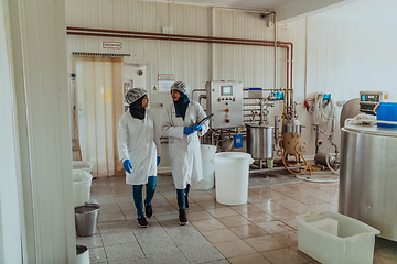 Image showing Arab business partner visiting a cheese factory. The concept of investing in small businesses