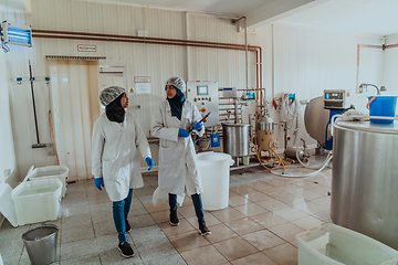 Image showing Arab business partner visiting a cheese factory. The concept of investing in small businesses