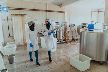 Image showing Arab business partner visiting a cheese factory. The concept of investing in small businesses